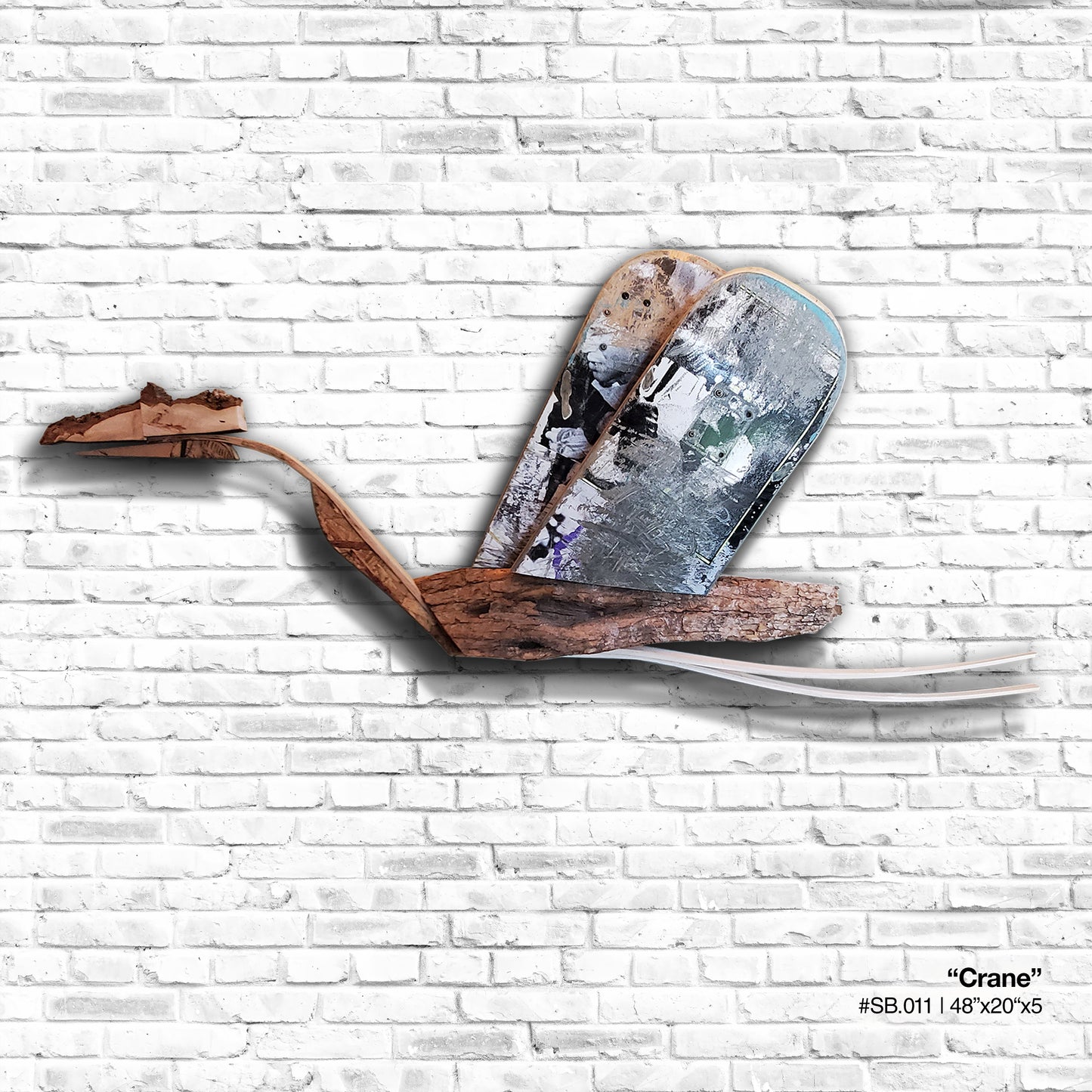 Gray Crane - Skatebird