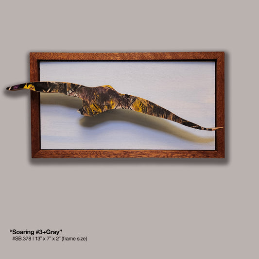 "Soaring #3+Gray" Gull Skatebird