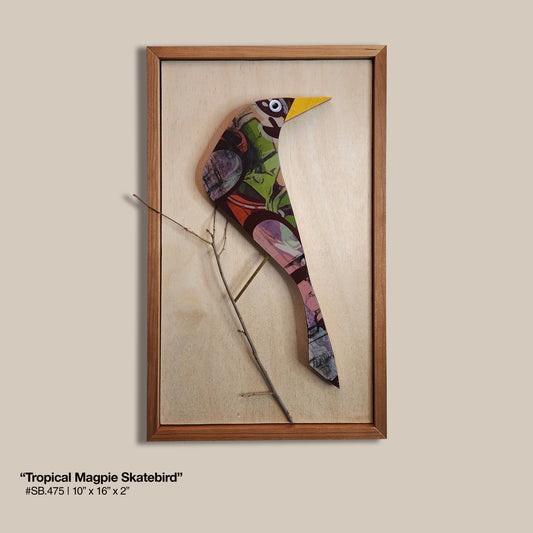 "Tropical Magpie" Skatebird