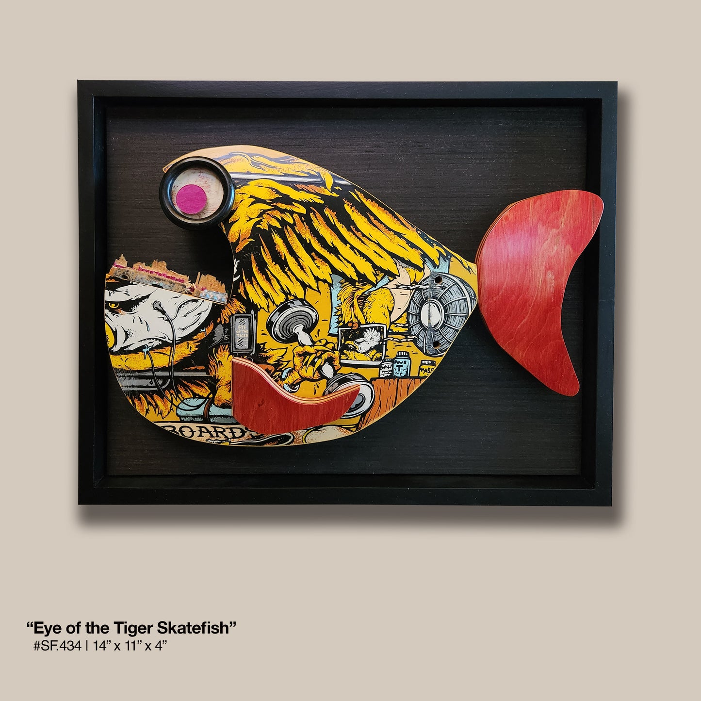 "Eye of the Tiger" Wheel-Eye Skatefish