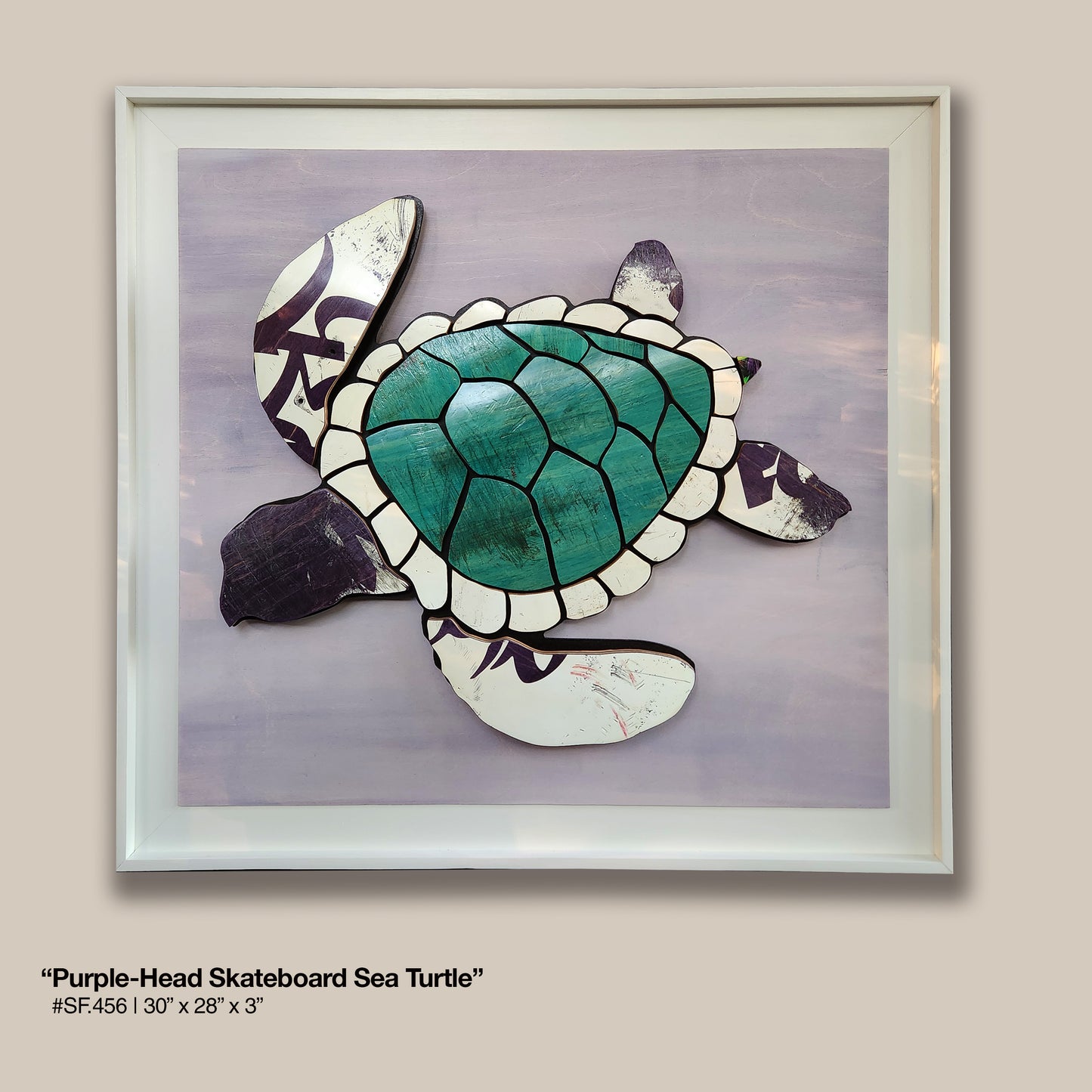 Purple-Head Skateboard Sea Turtle