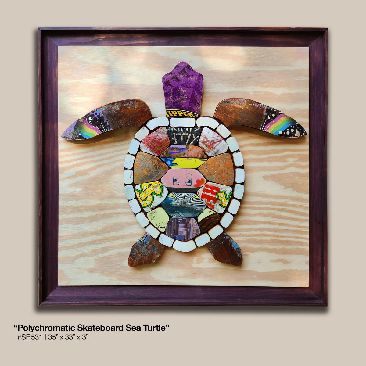Polychromatic Skateboard Sea Turtle
